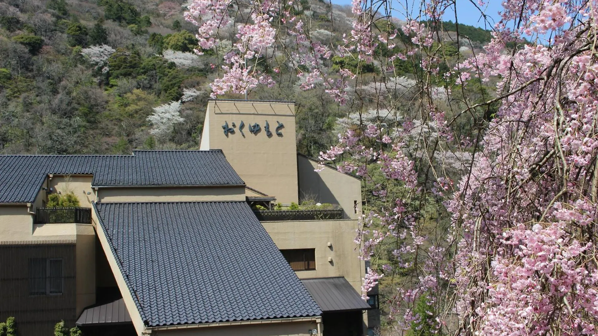 旅館 ホテルおくゆもと 箱根町