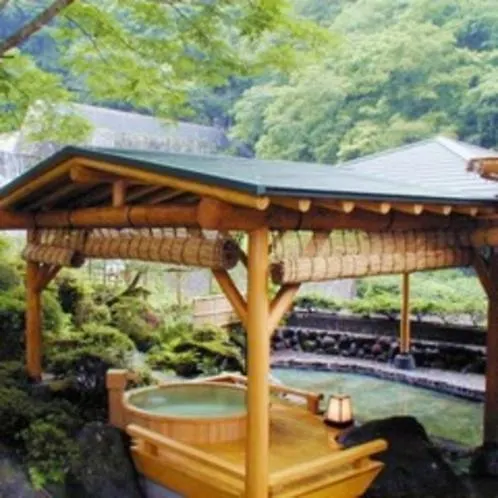 Hotel Okuyumoto Хаконе Рёкан
