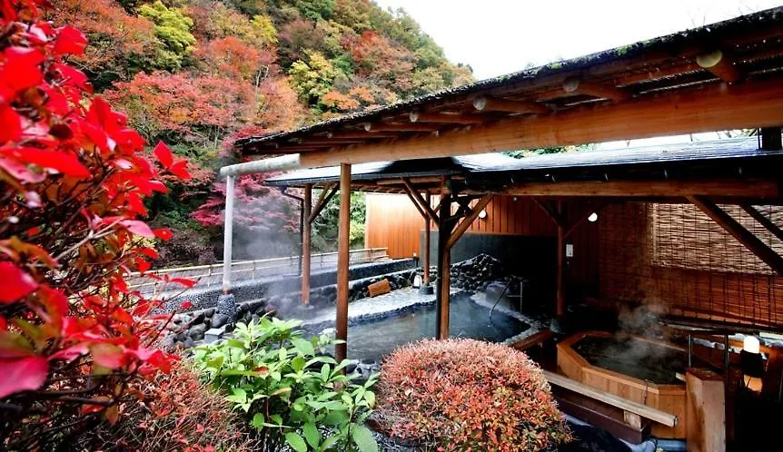 Ryokan Hotel Okuyumoto Hakone