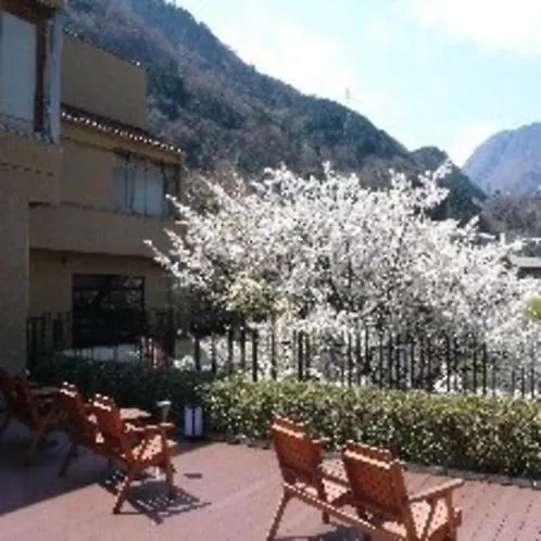 Hotel Okuyumoto Хаконе Рёкан