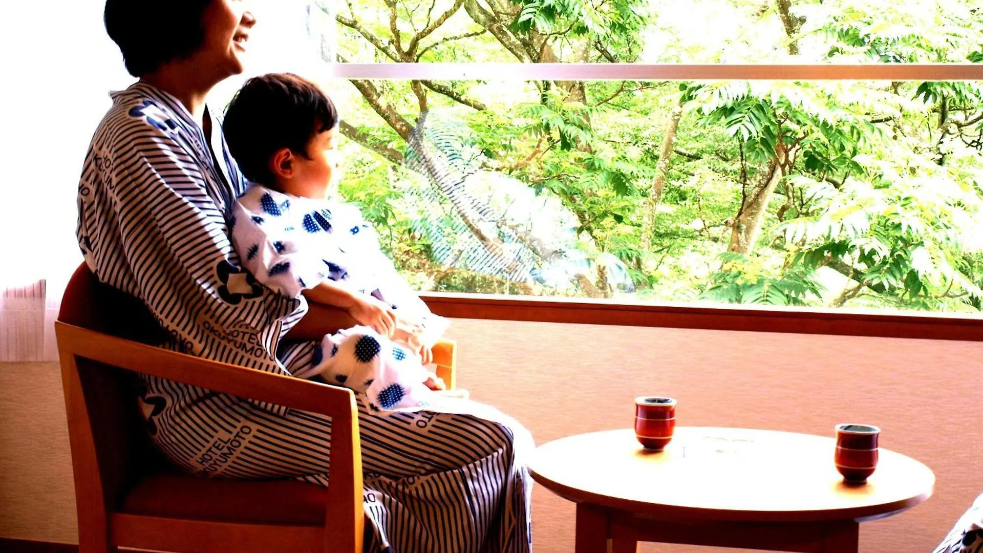 *** Ryokan Hotel Okuyumoto Hakone Japonsko
